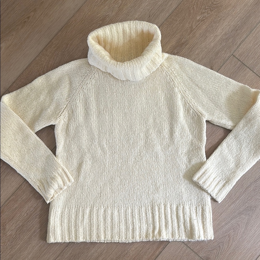 The Limited Cozy Turtleneck Sweater
